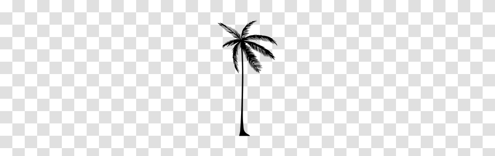 Tree Palm Palm Tree Silhouette, Plant, Arecaceae, Bow Transparent Png