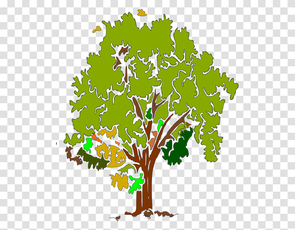 Tree Park Clipart, Plant, Outdoors, Floral Design Transparent Png