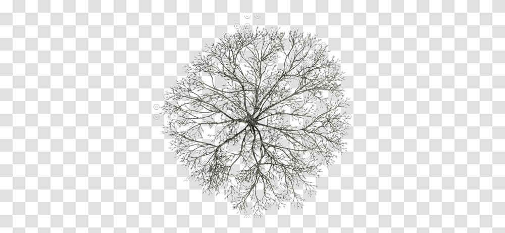 Tree Photoshop Tree Top Black And White, Plant, Leaf, Photography, Pattern Transparent Png