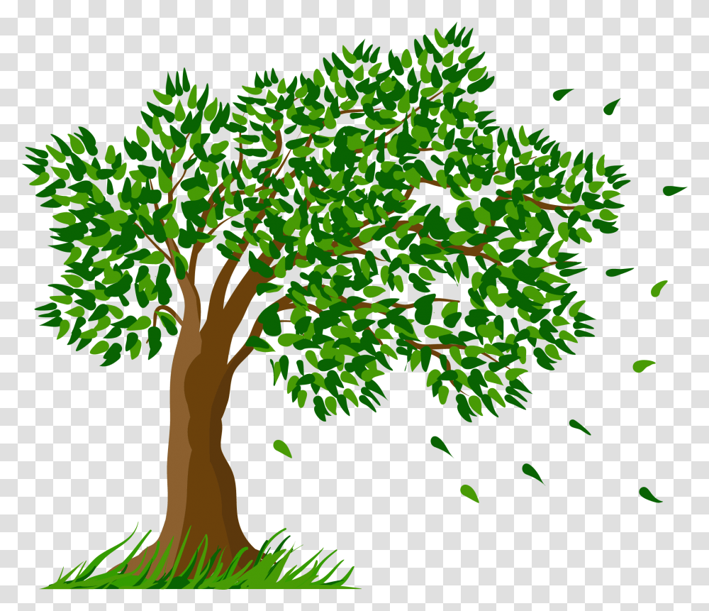 Дерево для детей на прозрачном фоне