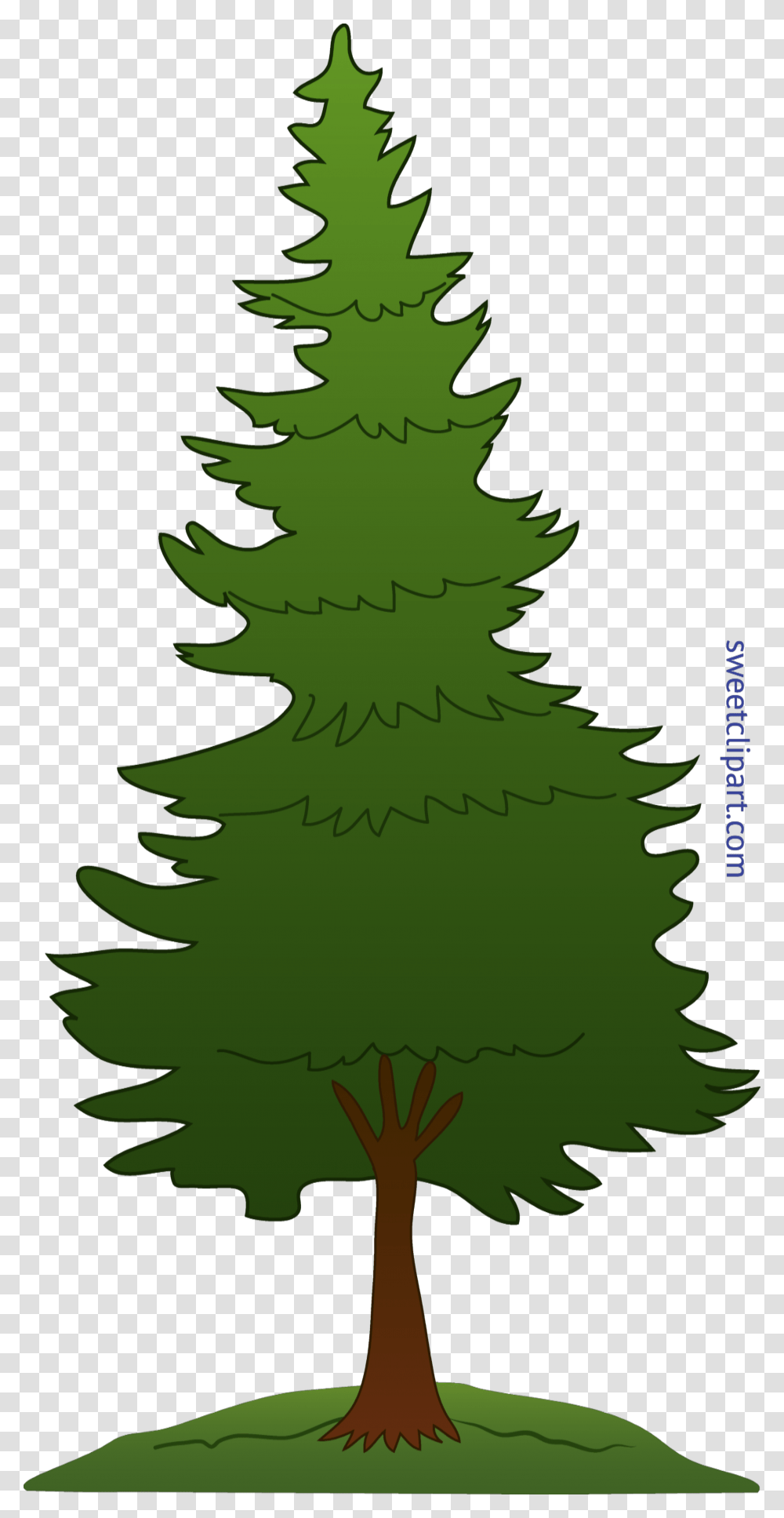 Tree Pine Clip Art, Plant, Ornament, Christmas Tree, Person Transparent Png