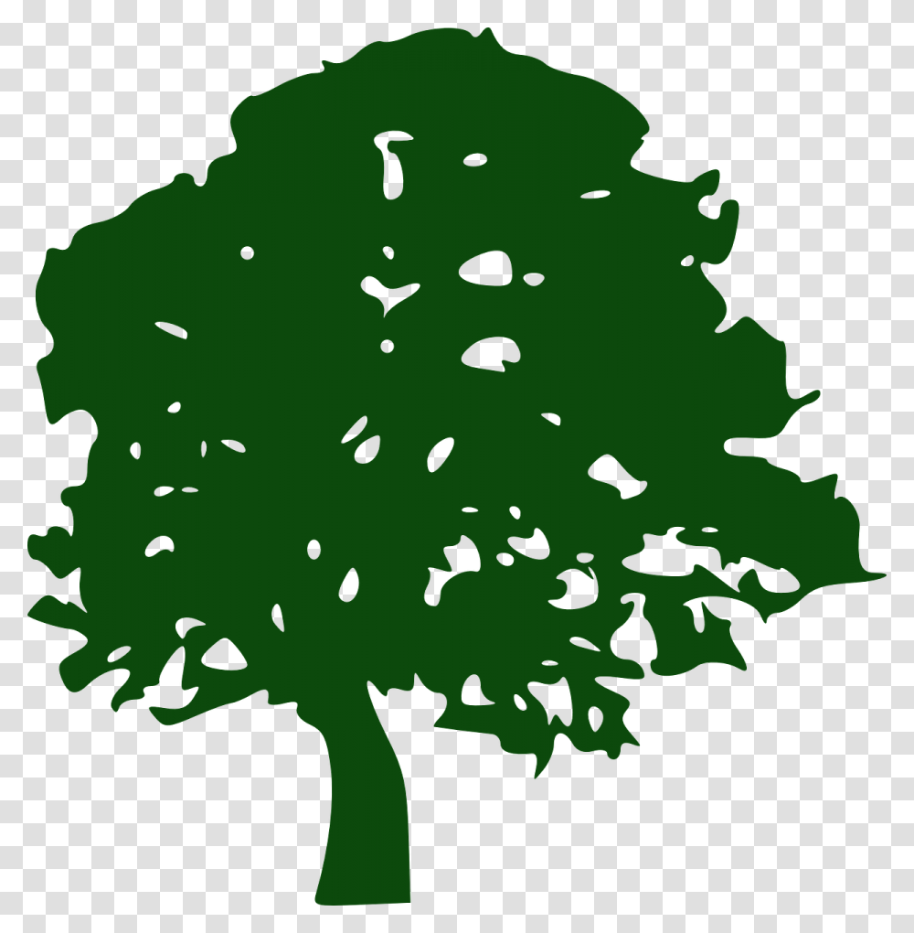 Tree Pine Southern Live Oak Clip Art Green Tree Silhouette, Plant, Vegetation, Leaf, Geranium Transparent Png