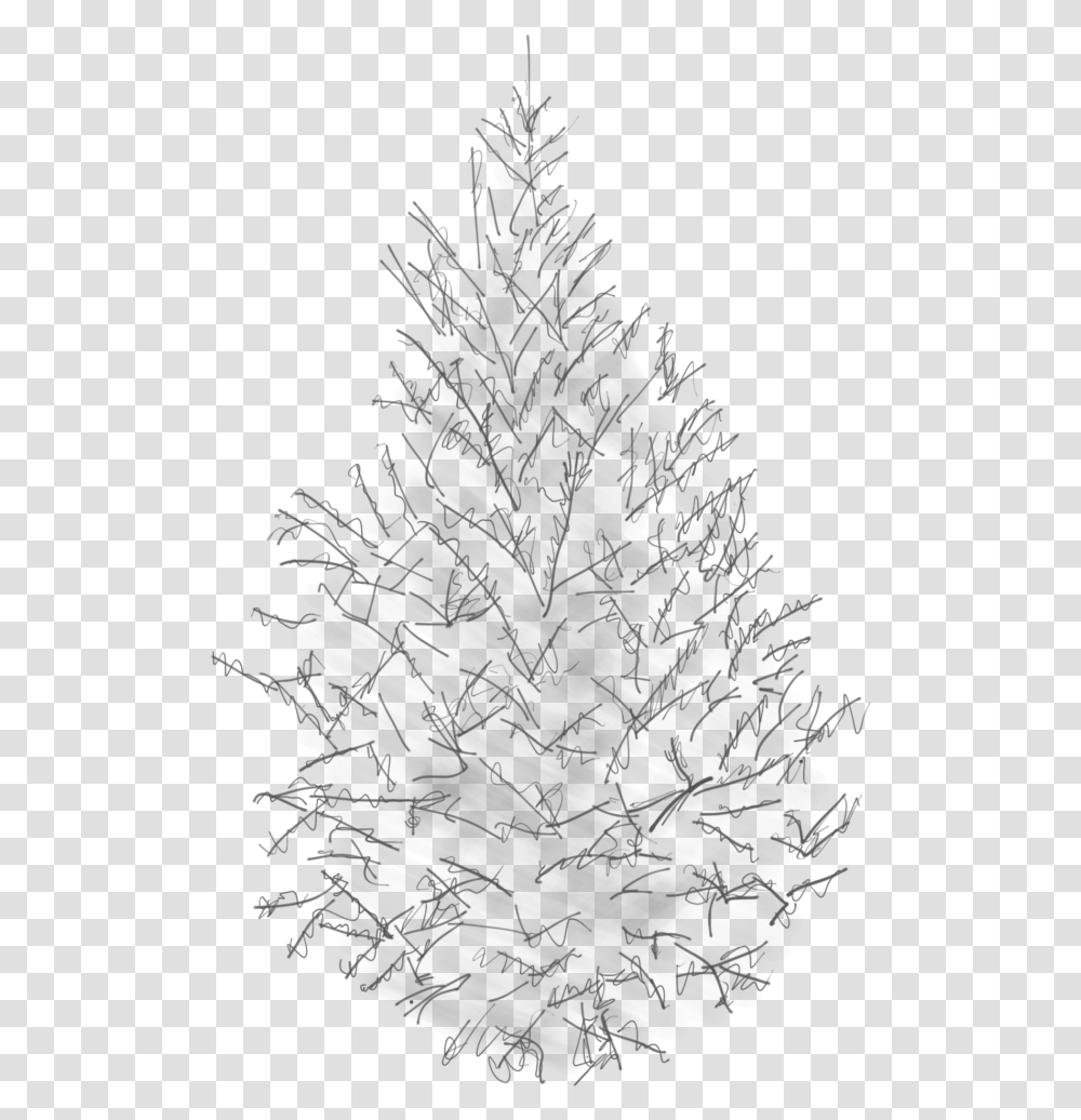 Tree Plan Black And Fir Download Original Size Pine Tree Sketch, Outdoors, Nature, Plot, Text Transparent Png