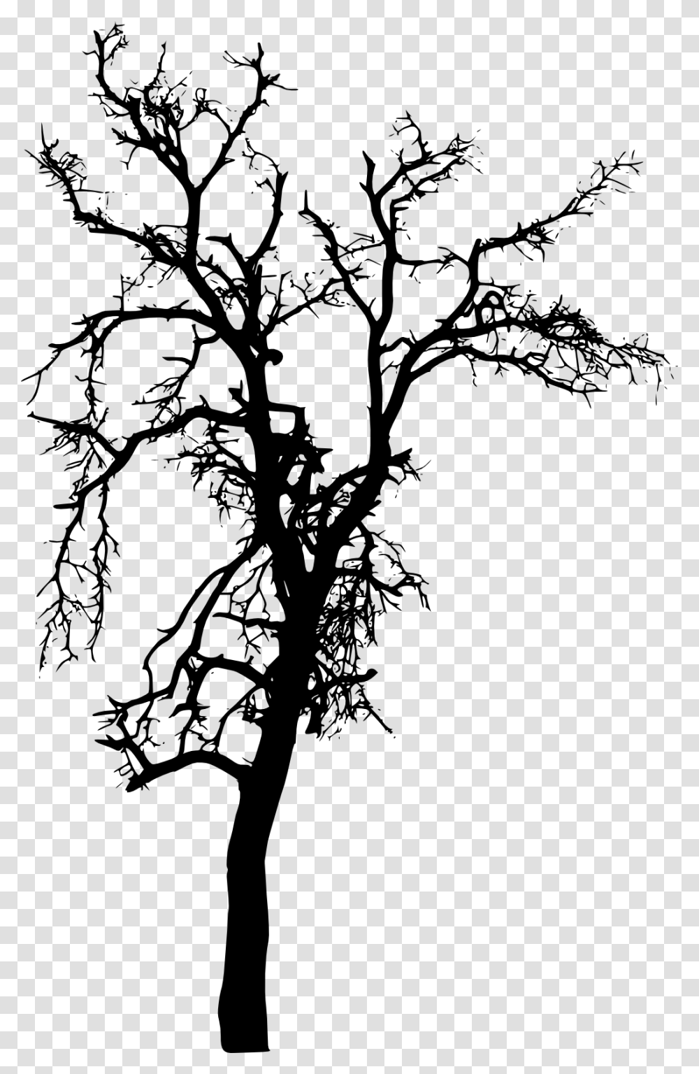 Tree Plant Branch Silhouette Silhouette Tree Images, Root, Cross, Tree Trunk Transparent Png
