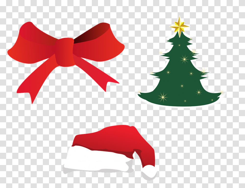 Tree, Plant, Christmas Tree, Ornament Transparent Png