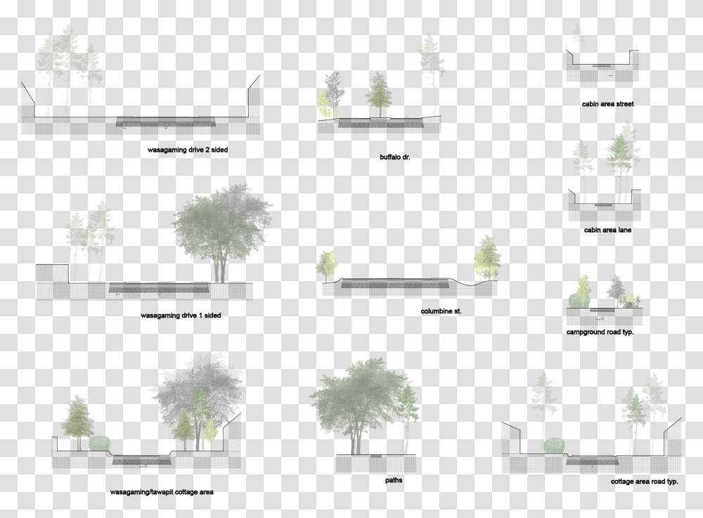 Tree, Plant, Conifer, Vegetation, Tree Trunk Transparent Png