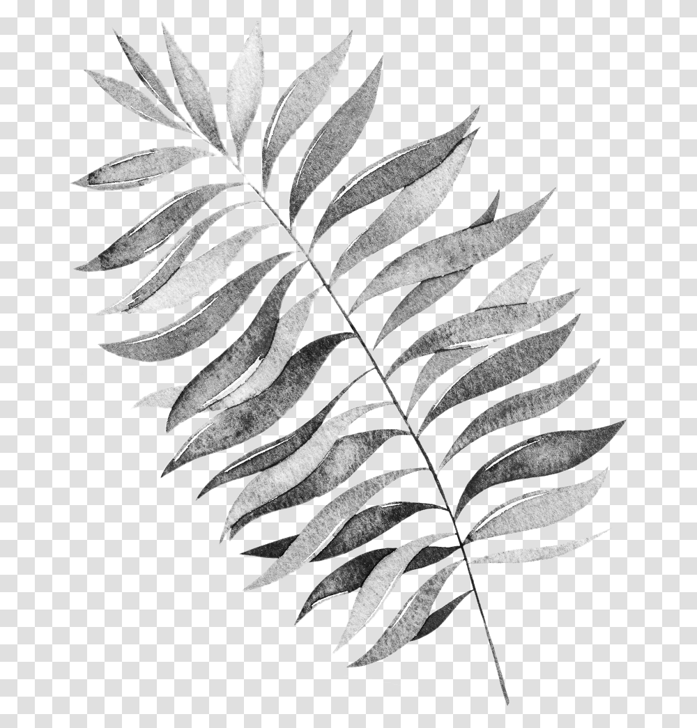 Tree, Plant, Fern, Leaf Transparent Png