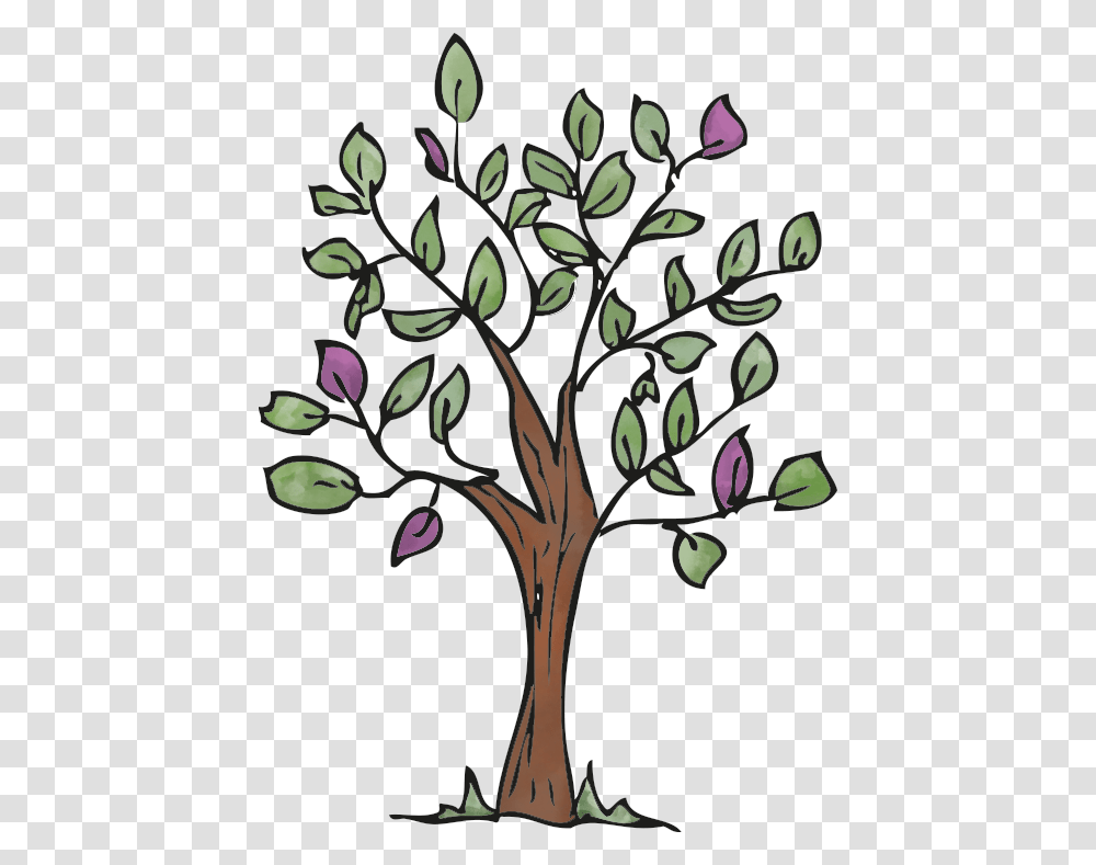 Tree, Plant, Flower, Blossom, Annonaceae Transparent Png
