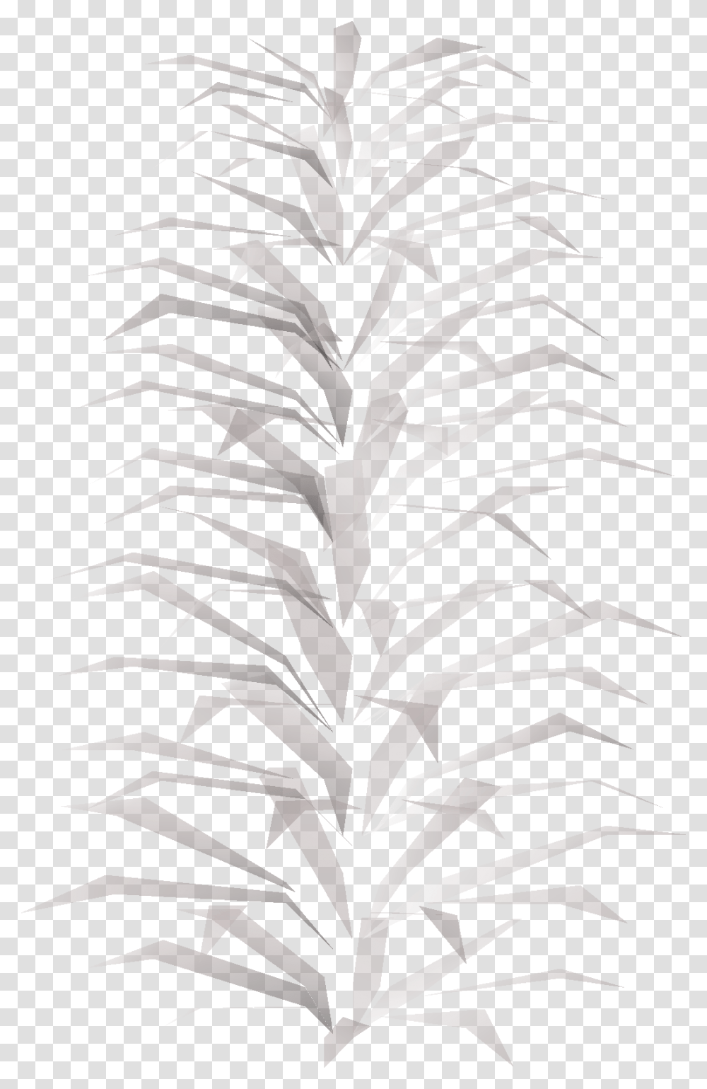 Tree, Plant, Flower, Blossom, Fir Transparent Png