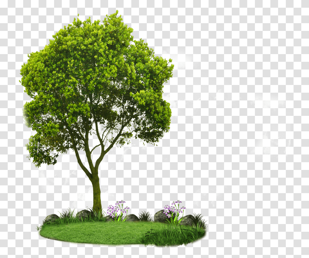 Tree, Plant, Grass, Silhouette, Animal Transparent Png