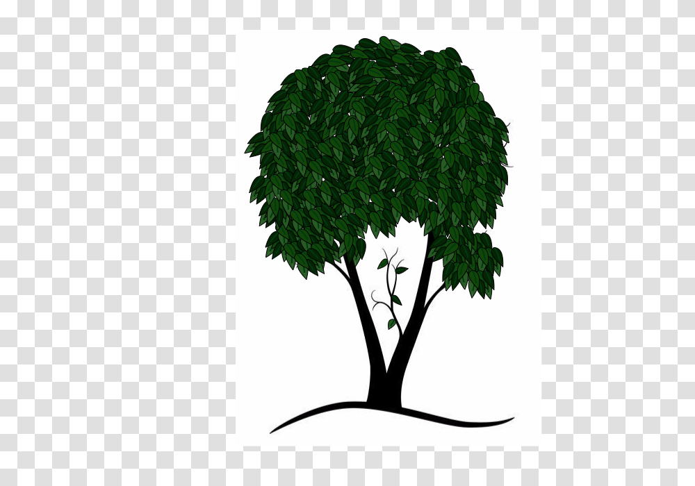 Tree, Plant, Leaf, Tree Trunk Transparent Png