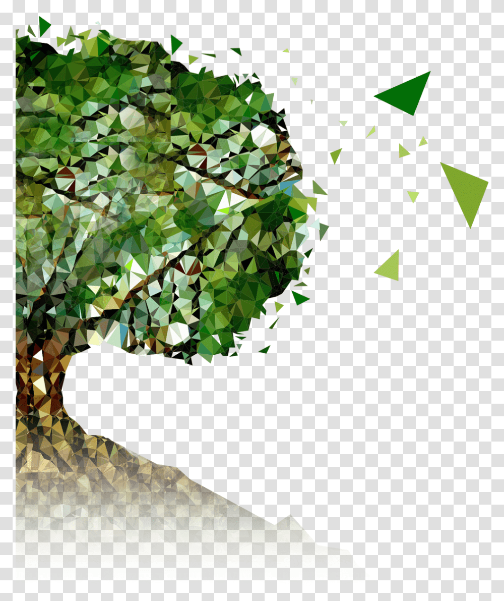 Tree, Plant, Leaf, Vegetation, Tree Trunk Transparent Png