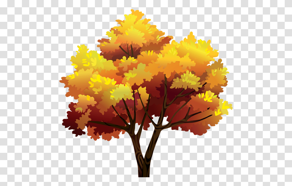 Tree, Plant, Maple, Leaf, Flower Transparent Png