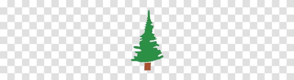 Tree, Plant, Ornament, Pine Transparent Png