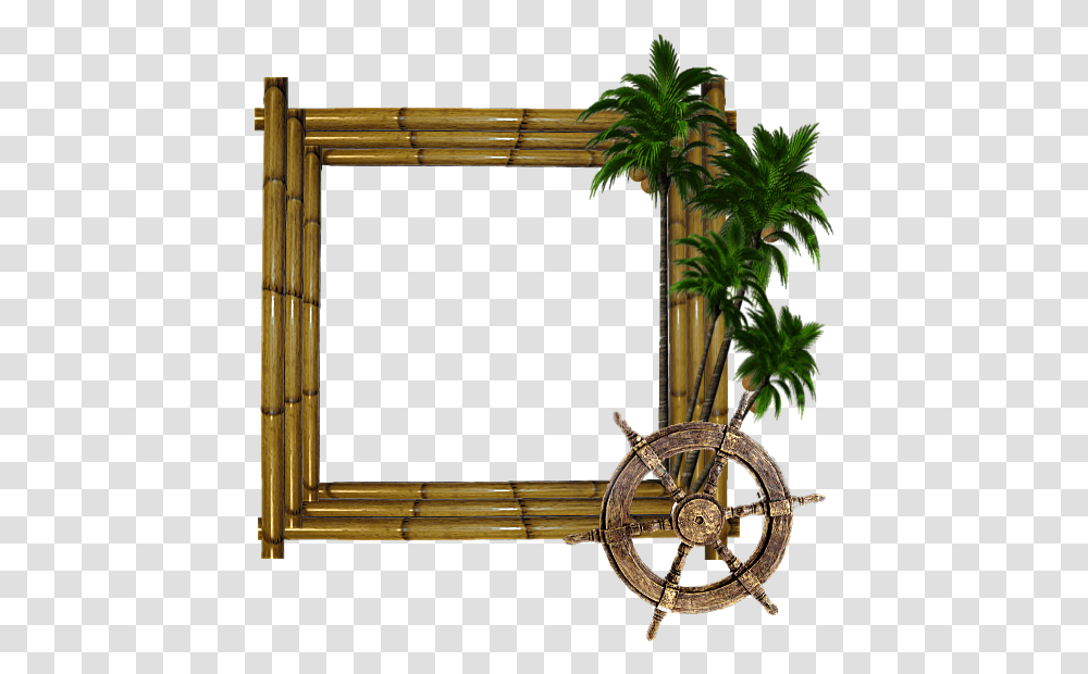 Tree, Plant, Palm Tree, Arecaceae, Gate Transparent Png