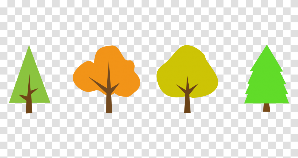 Tree, Plant, Silhouette, Flower, Blossom Transparent Png