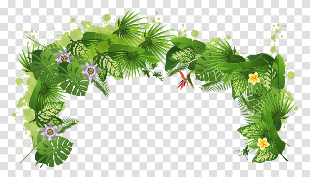 Tree Plant Tropical Rainforest Tropical Rainforest, Vegetation, Green, Land, Outdoors Transparent Png