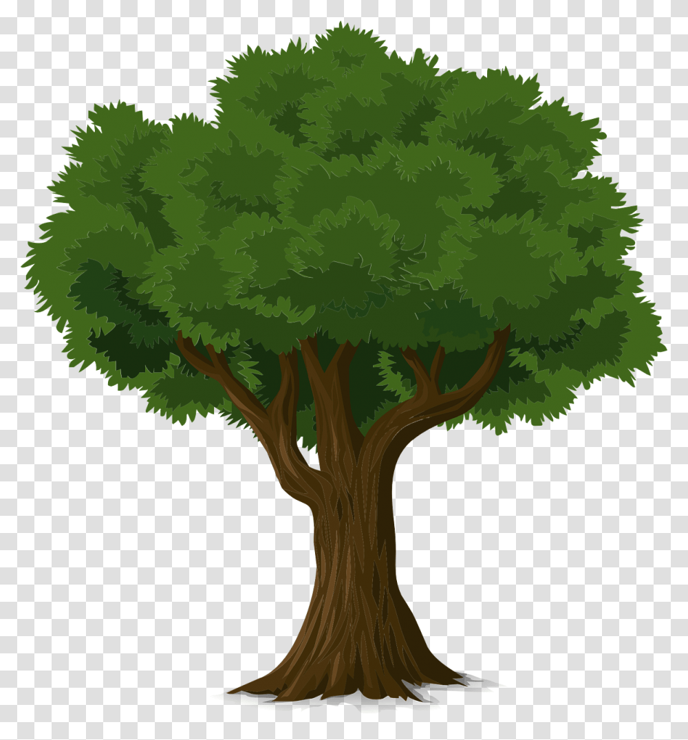 Tree, Plant, Vegetation, Bush Transparent Png