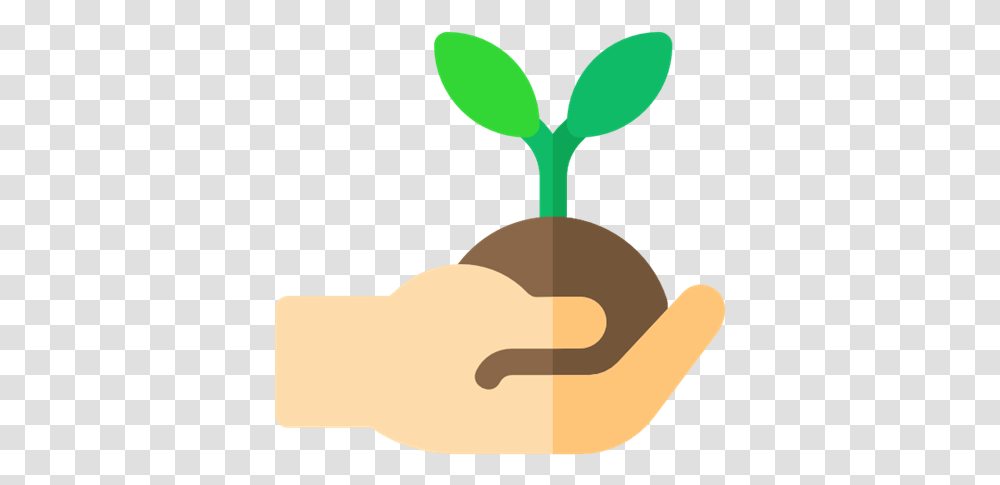 Tree Planting Project 2nd Year Plantar, Vegetable, Food, Produce, Seed Transparent Png