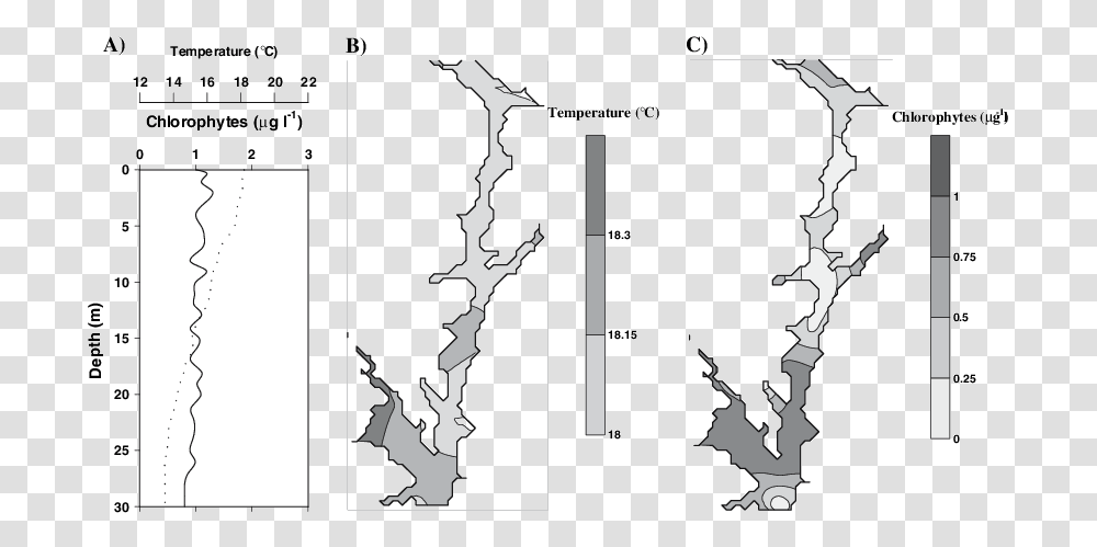 Tree, Plot, Diagram, Map, Utility Pole Transparent Png