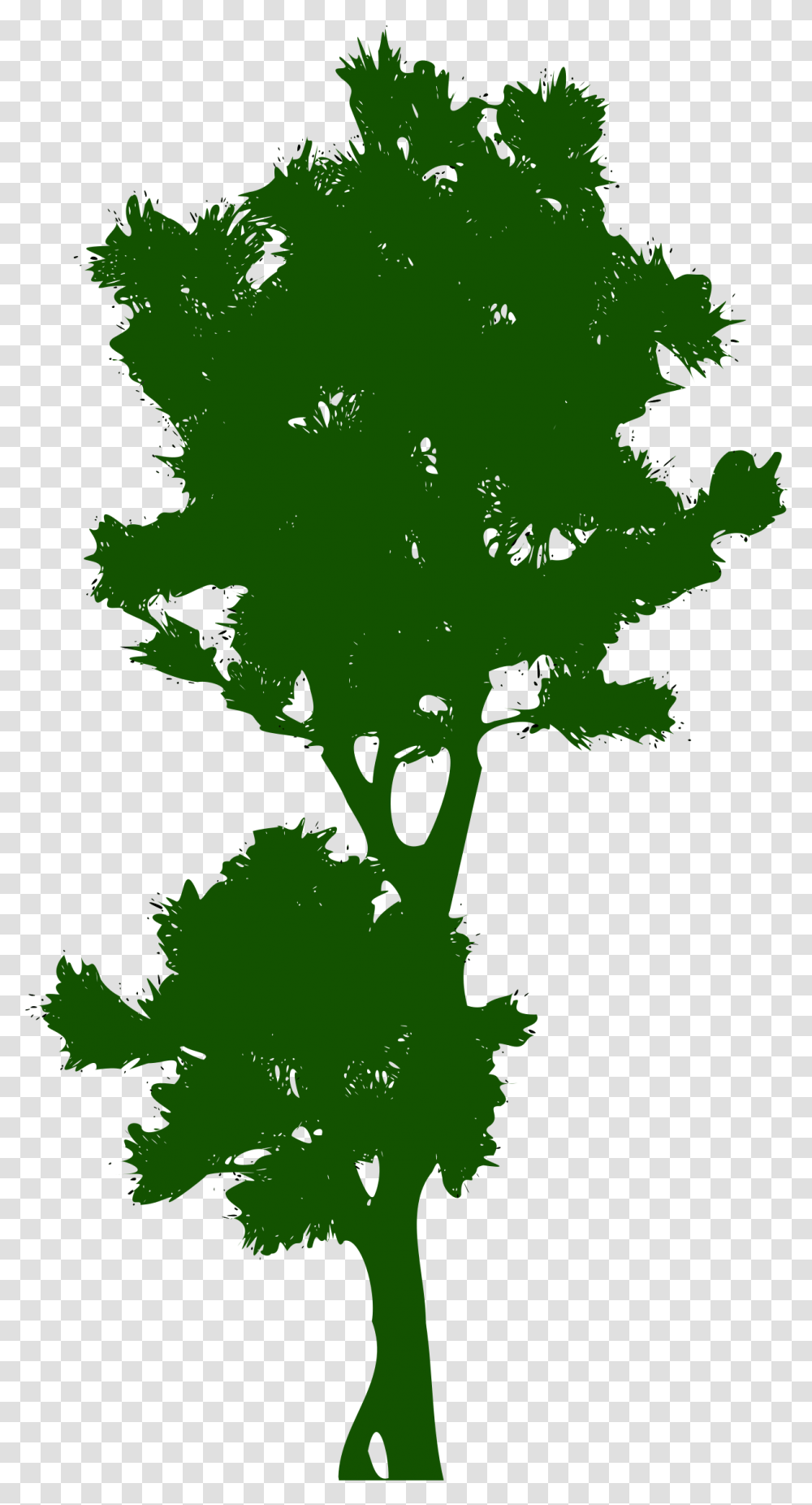 Tree Public Domain Clip Art Pohon Tinggi Vektor, Plant, Leaf, Vegetation, Green Transparent Png
