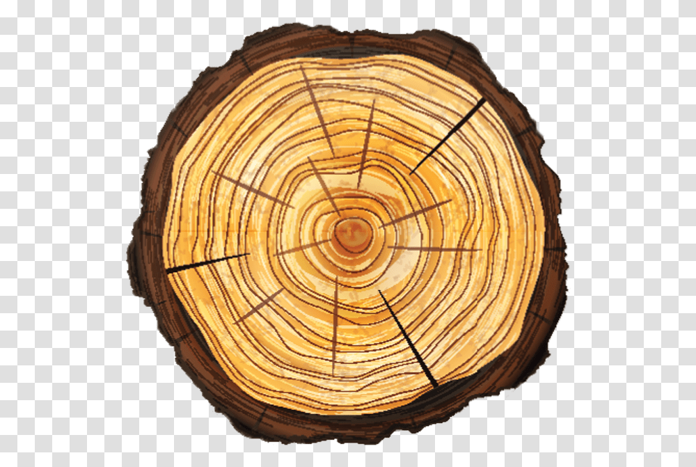Tree Removal Alpharetta Ga Top Tree Stump, Lamp, Soil, Ornament, Wood Transparent Png