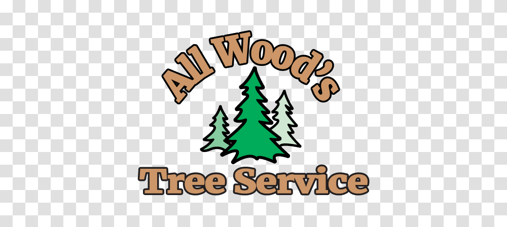 Tree Removal Trimming Ogden Utah All Woods Tree Service, Plant, Christmas Tree, Ornament Transparent Png