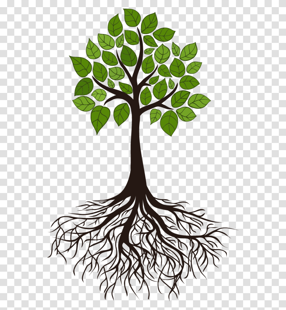Tree Root Branch Clip Art Tree Roots, Plant, Bird, Animal, Pineapple Transparent Png
