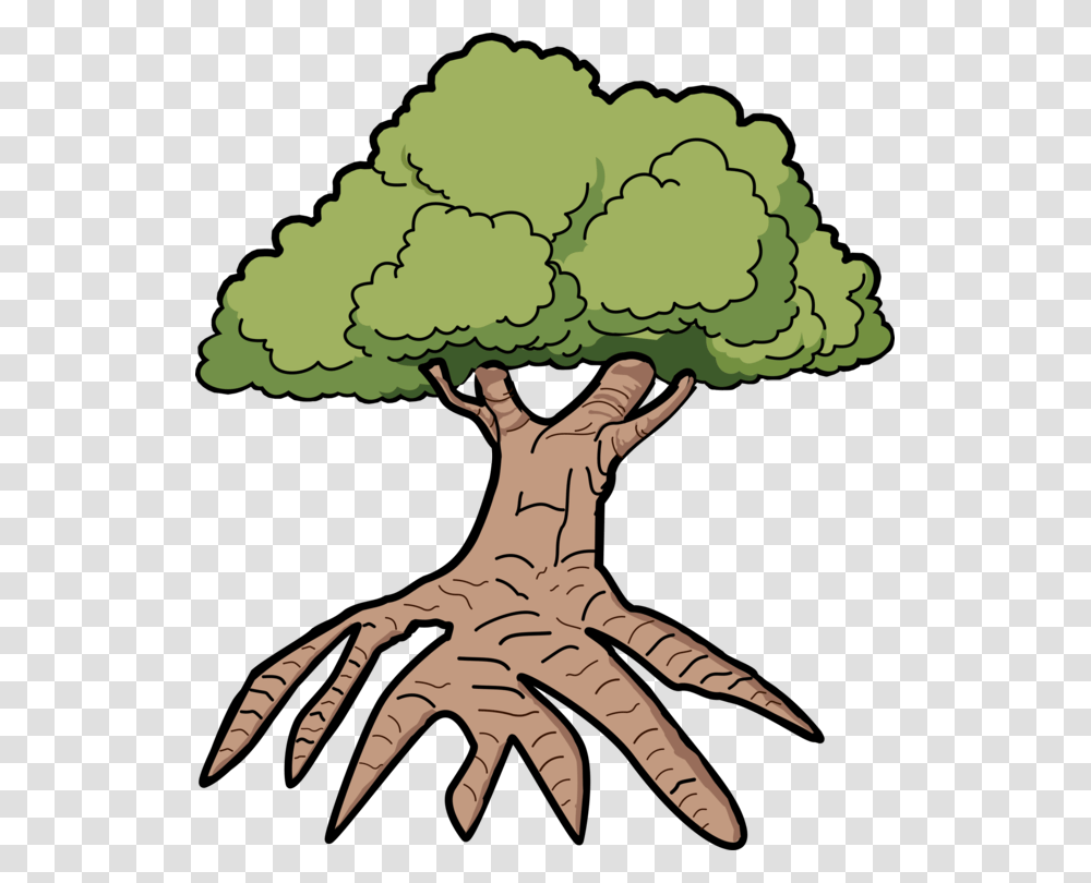 Tree Root Drawing Computer Icons Leaf, Plant, Person, Human, Vegetable Transparent Png