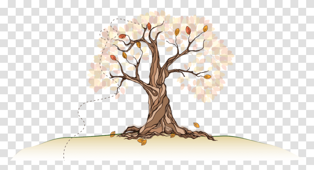 Tree Root Illustration, Plant, Tree Trunk, Oak Transparent Png