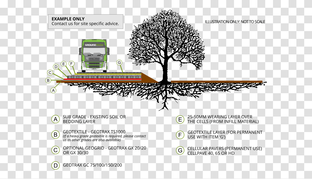 Tree Root Protection - Example Groundtrax Cellular Confinement System, Electronics, Text, Screen, Computer Transparent Png