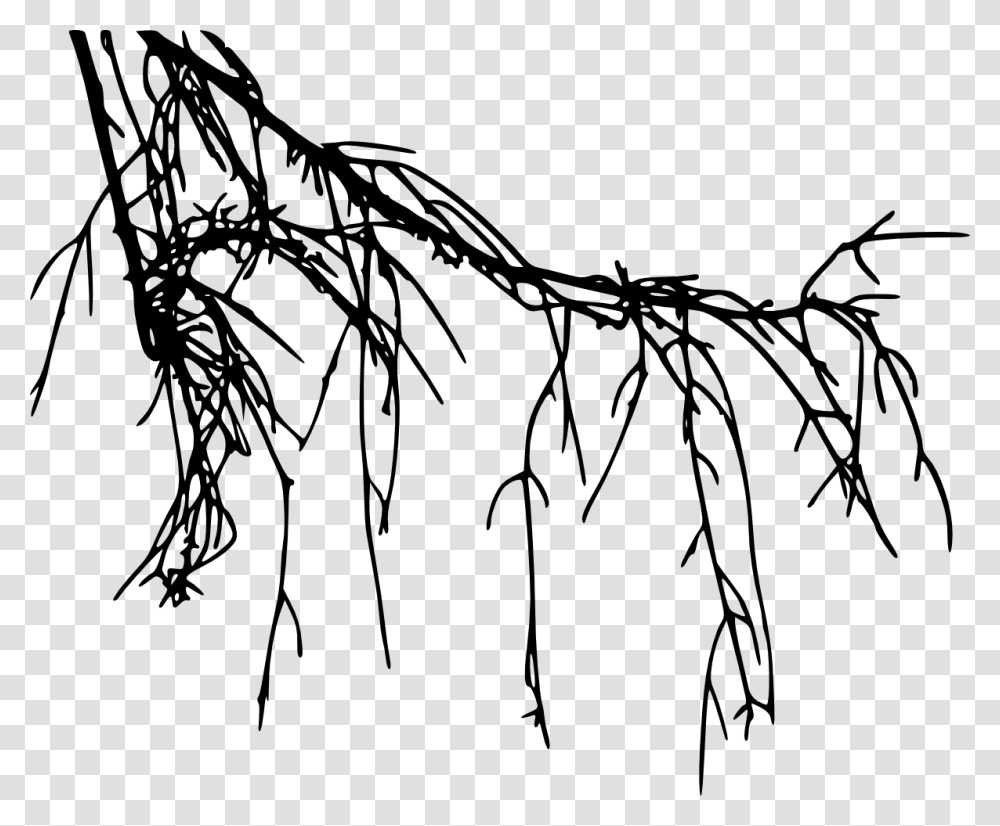 Tree Root Silhouette, Plant, Bow Transparent Png