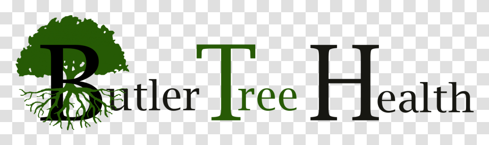 Tree Root, Number, Alphabet Transparent Png