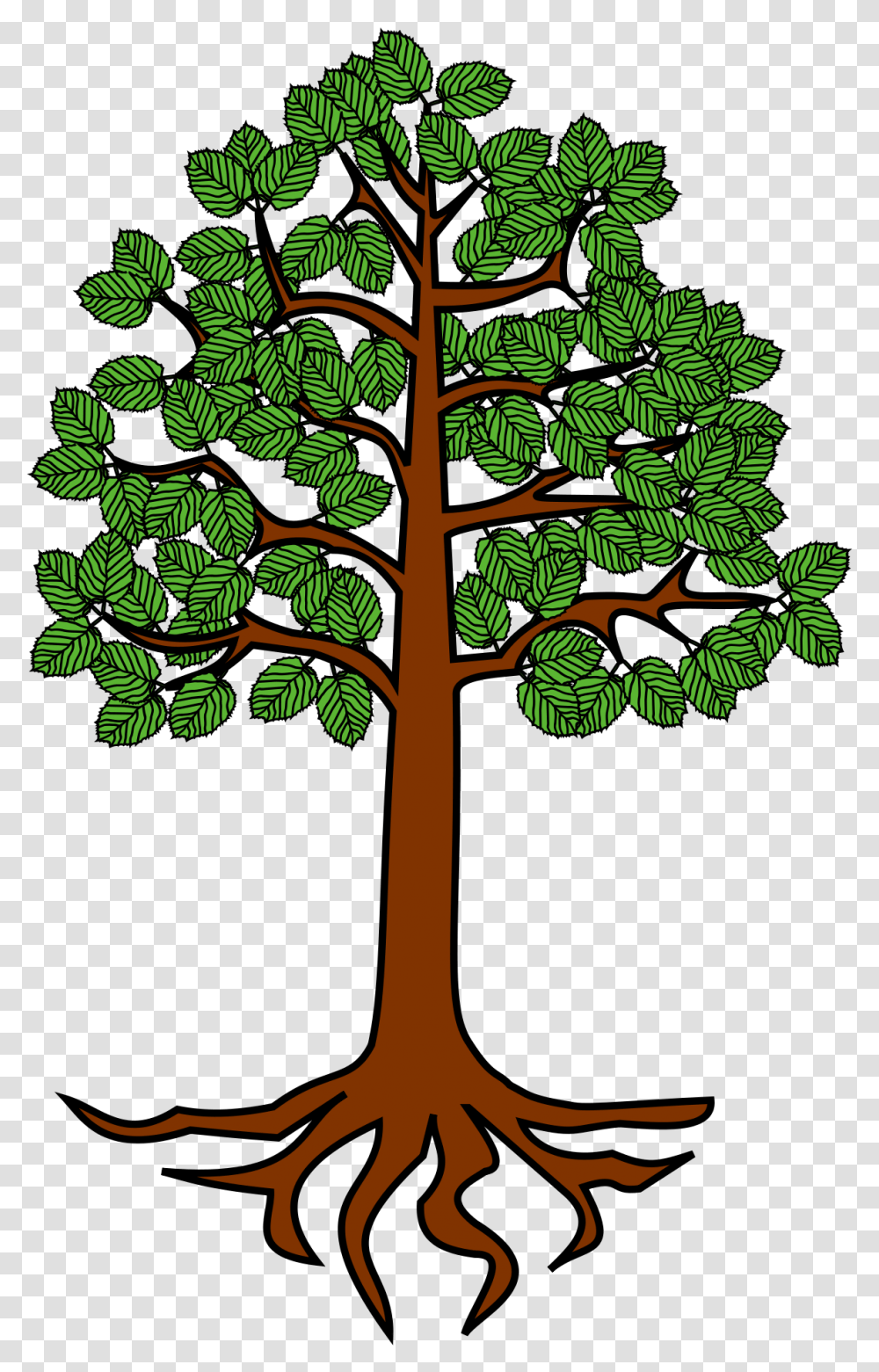 Tree Root Trunk Clip Art Aulnay Sous Bois, Green, Plant, Leaf, Vegetation Transparent Png