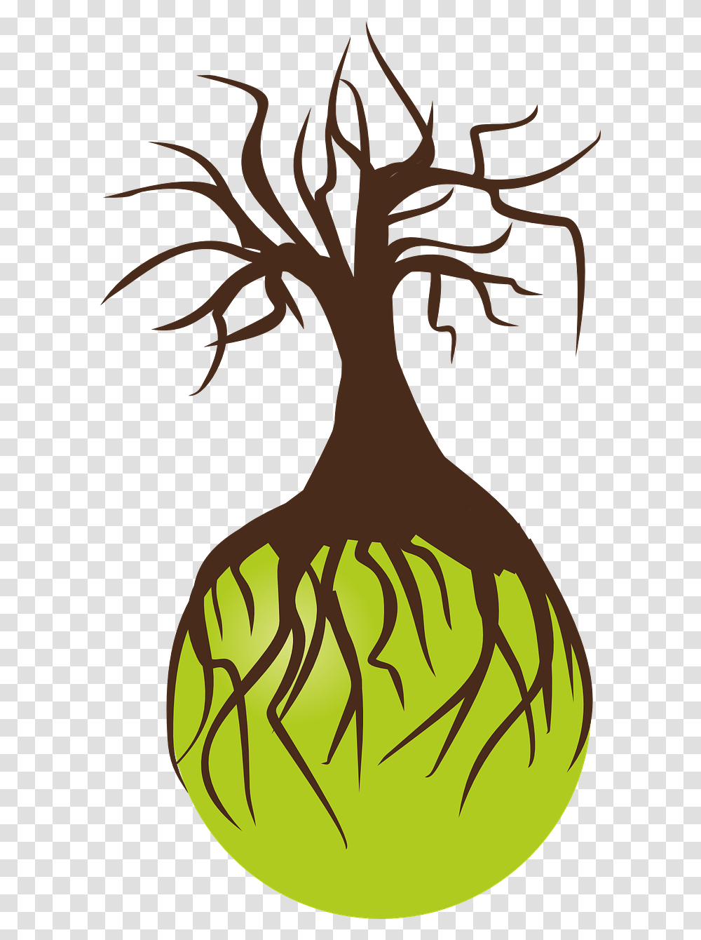 Tree Roots Background, Plant, Label Transparent Png