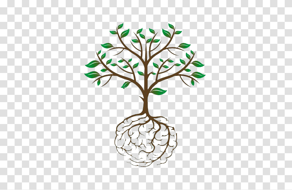 Tree Roots Brain Root Tree, Plant Transparent Png