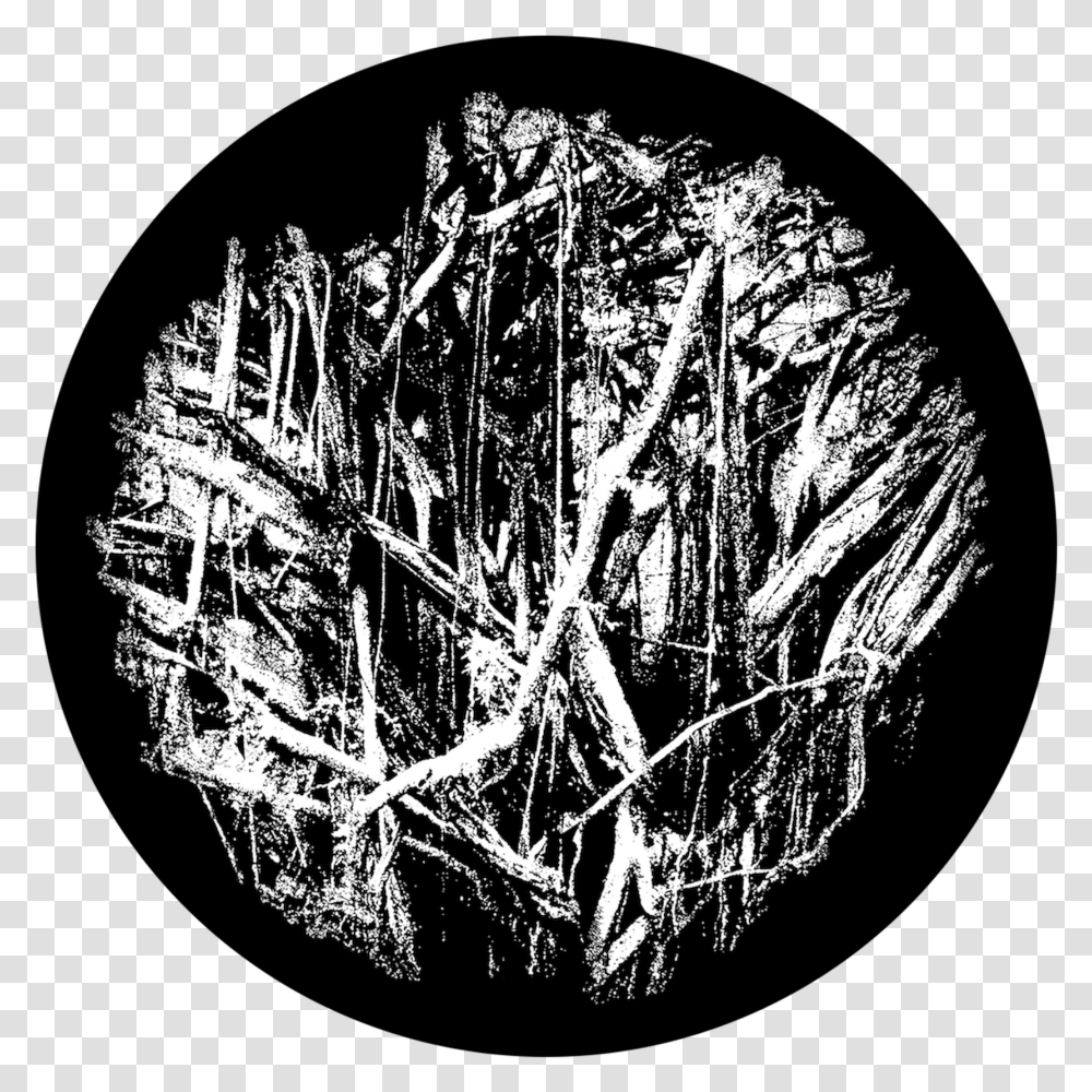 Tree Roots Circle, Chandelier, Plant, Diamond Transparent Png