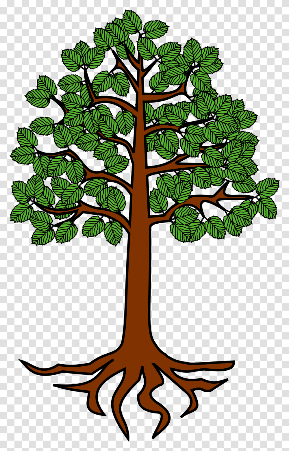 Tree Roots Clipart Tree With Root Clipart, Green, Plant, Leaf, Vegetation Transparent Png