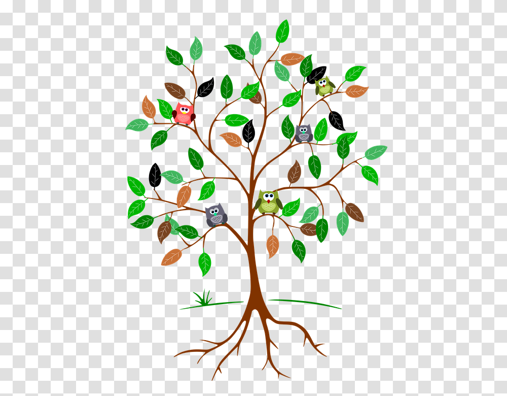 Tree Roots Cliparts 2 Buy Clip Art Carbon Footprint Activities For Kids, Plant, Annonaceae, Food, Seed Transparent Png