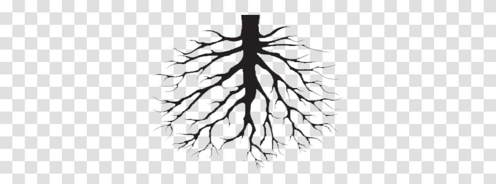 Tree Roots Cliparts, Plant, Rug Transparent Png