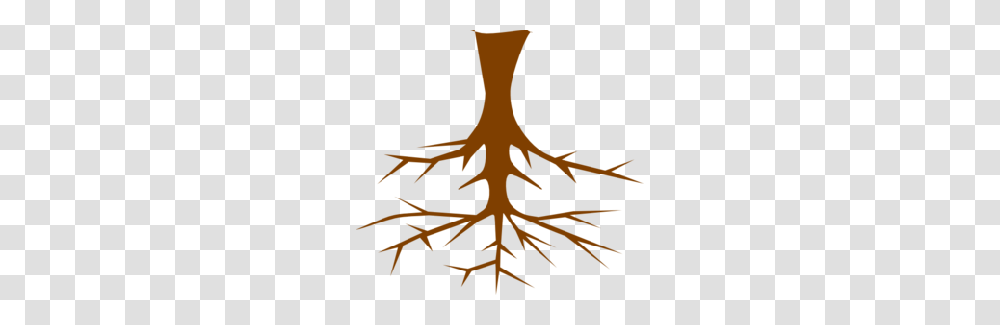 Tree Roots Cliparts, Poster, Advertisement, Plant, Light Transparent Png