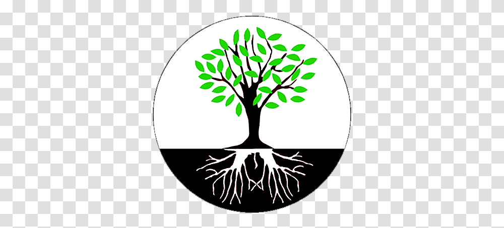 Tree Roots Download Root Cause Not Symptoms, Plant Transparent Png
