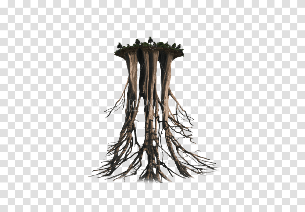 Tree Roots Drawing, Lamp, Plant, Land Transparent Png
