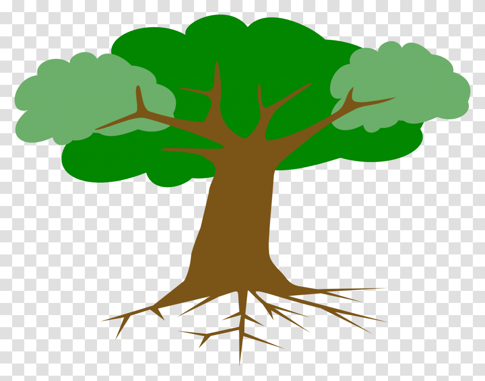 Tree Roots Leaves Cross Trees With Roots Clipart, Plant Transparent Png