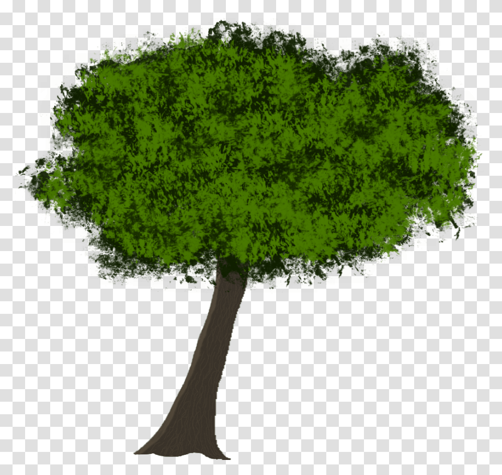 Tree Roots Silhouette Elm, Plant, Axe, Tool, Green Transparent Png
