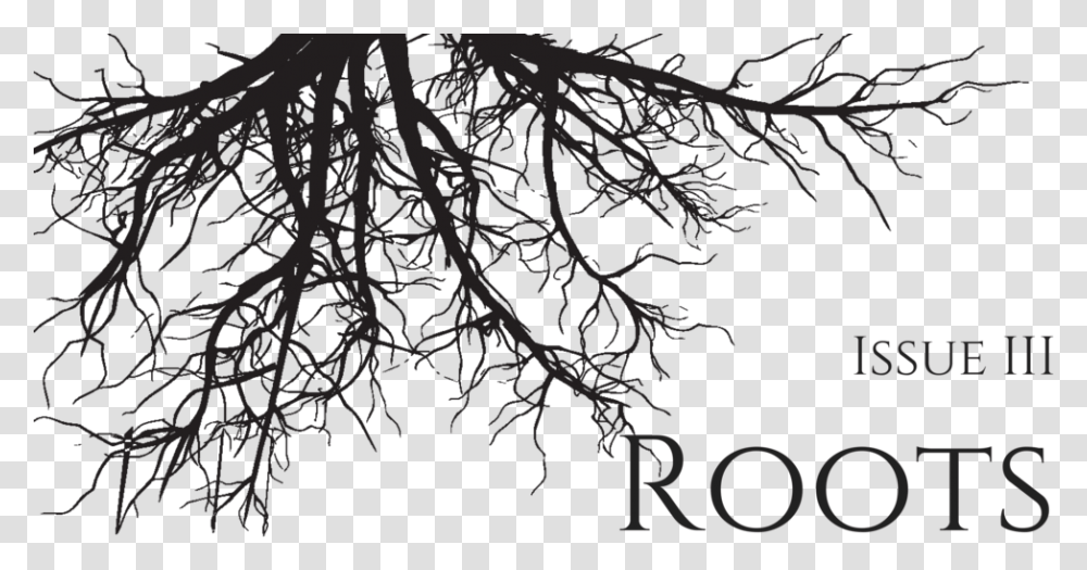 Tree Roots Silhouette, Nature, Outdoors, Plant, Night Transparent Png