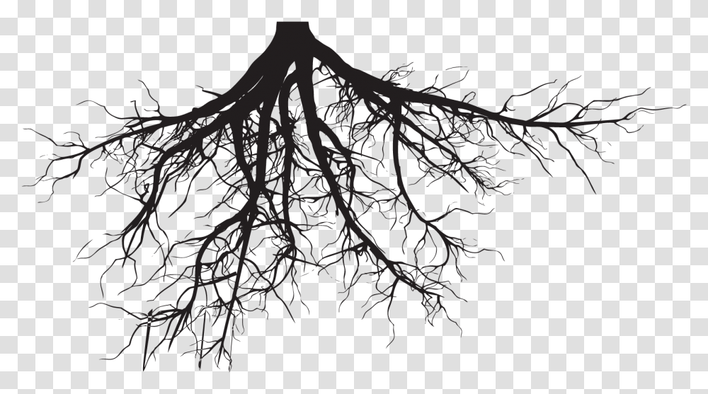 Tree Roots Silhouette, Plant, Food Transparent Png