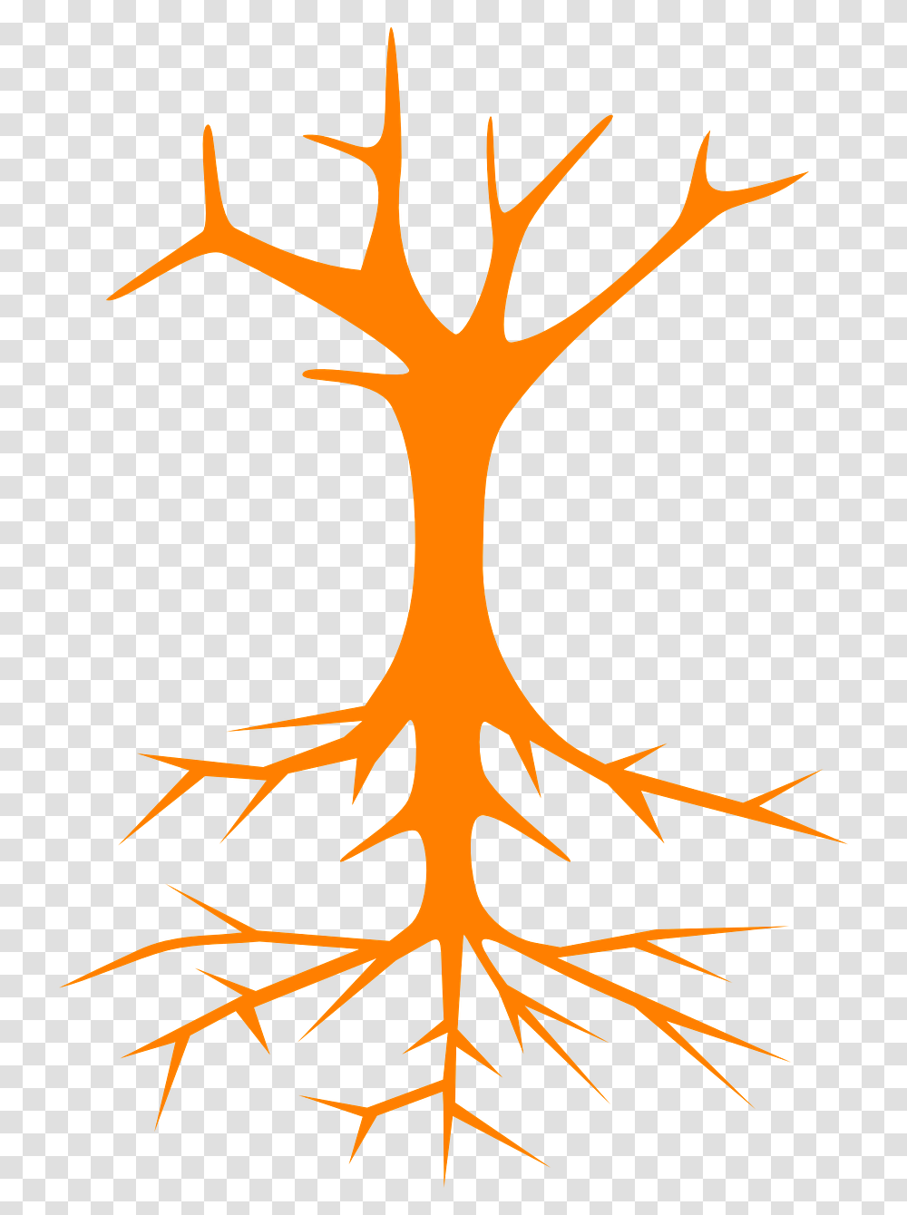 Tree Roots Stem Branches Naked Image, Plant, Cross, Logo Transparent Png