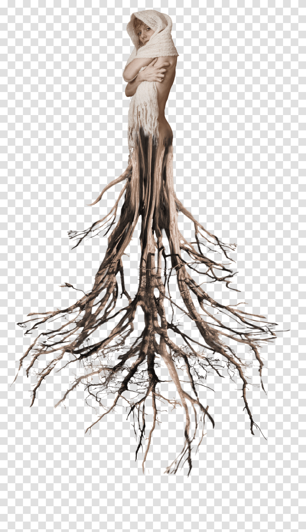 Tree Roots Surreal Woman Tumblr Ftestickers Transparent Png