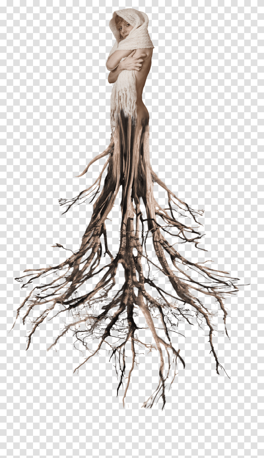 Tree Roots Surreal Woman Tumblr Tree Root Transparent Png